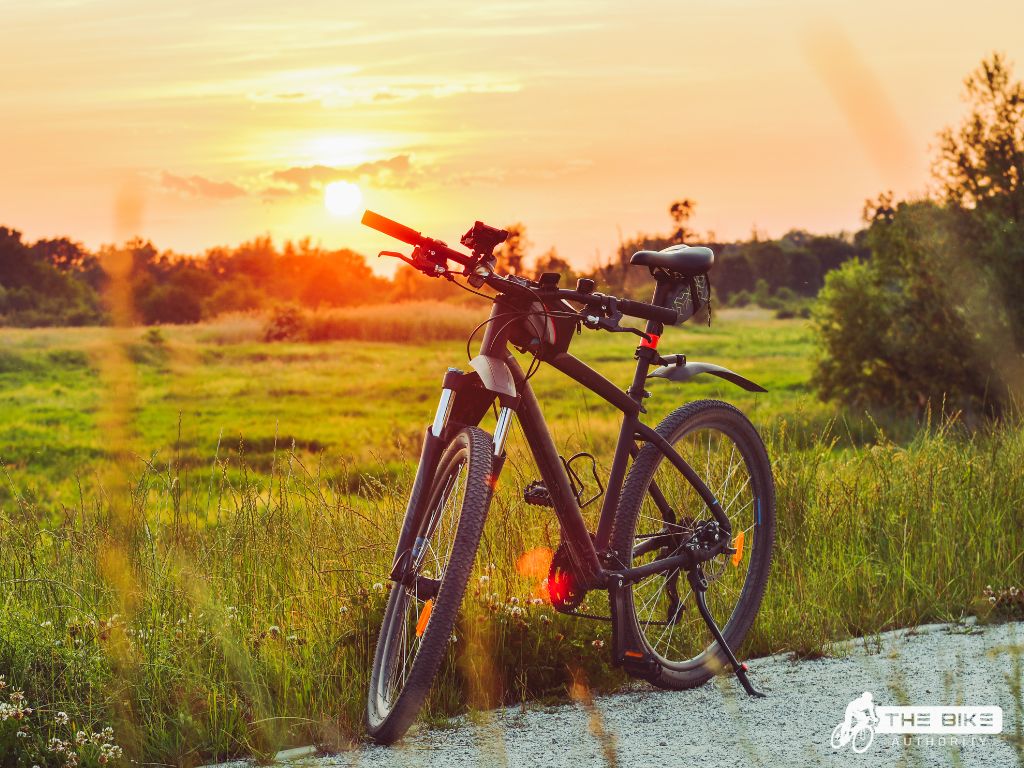 The Best Flat Bar Gravel Bikes Of 2024